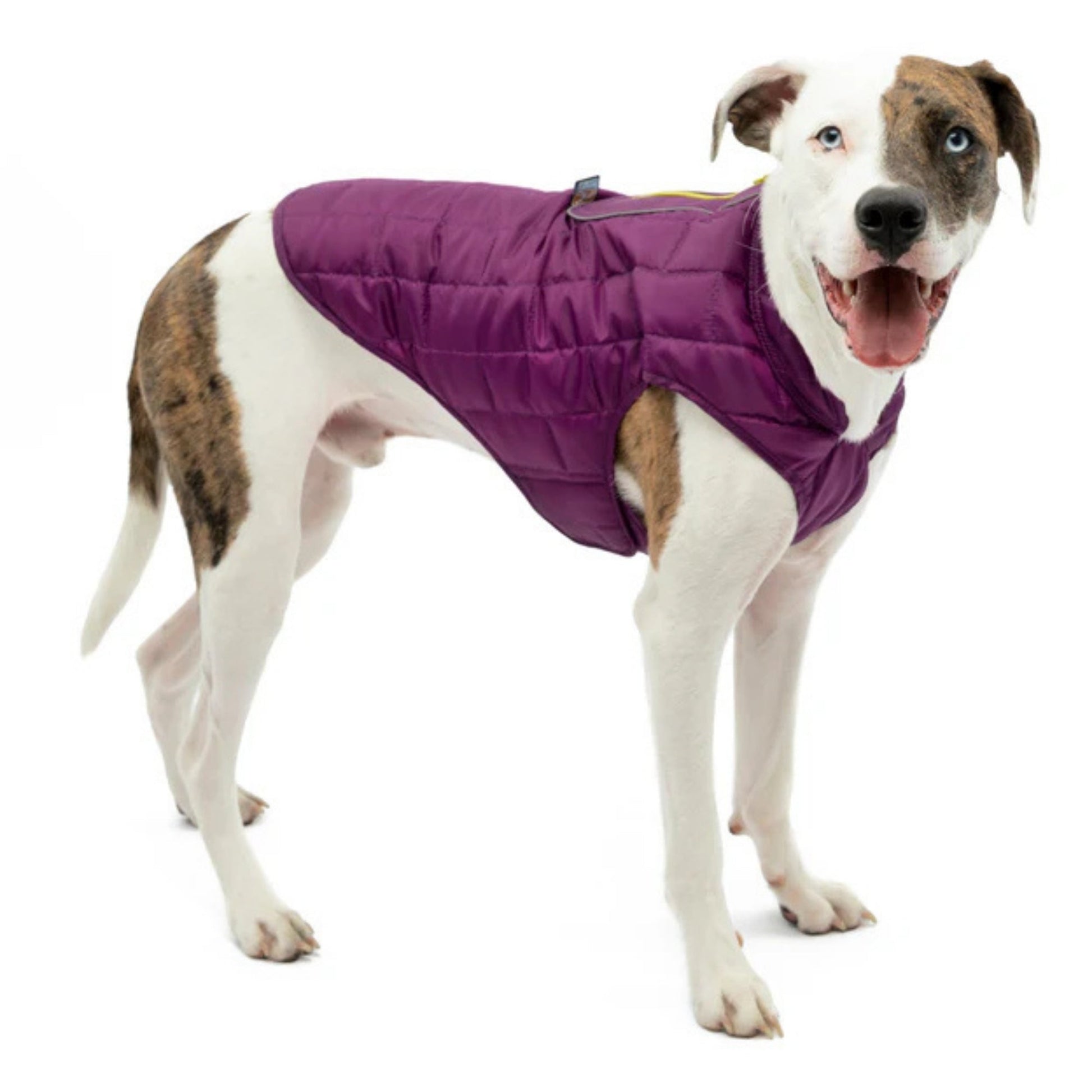 Kurgo Dog Loft Jacket Violet Large