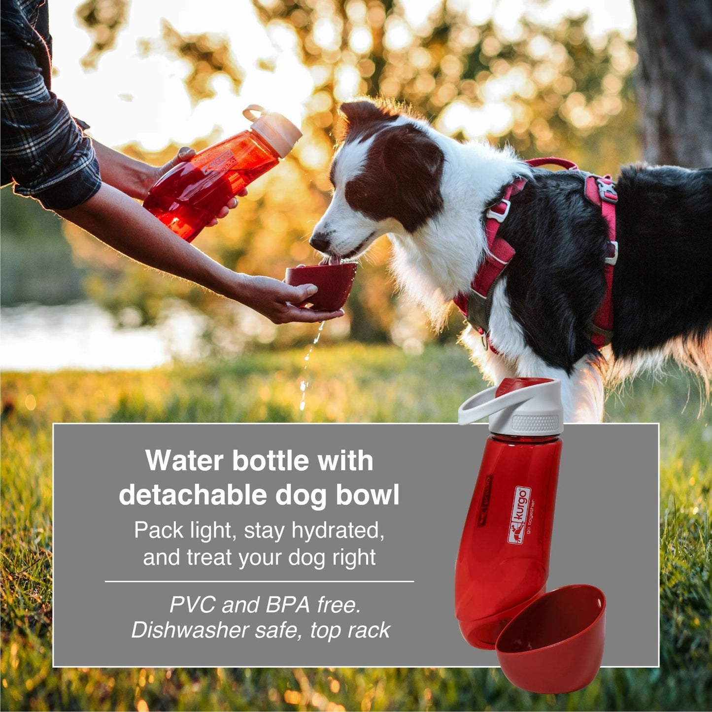 Kurgo Dog Gourd H2O Bottle & Bowl Blue