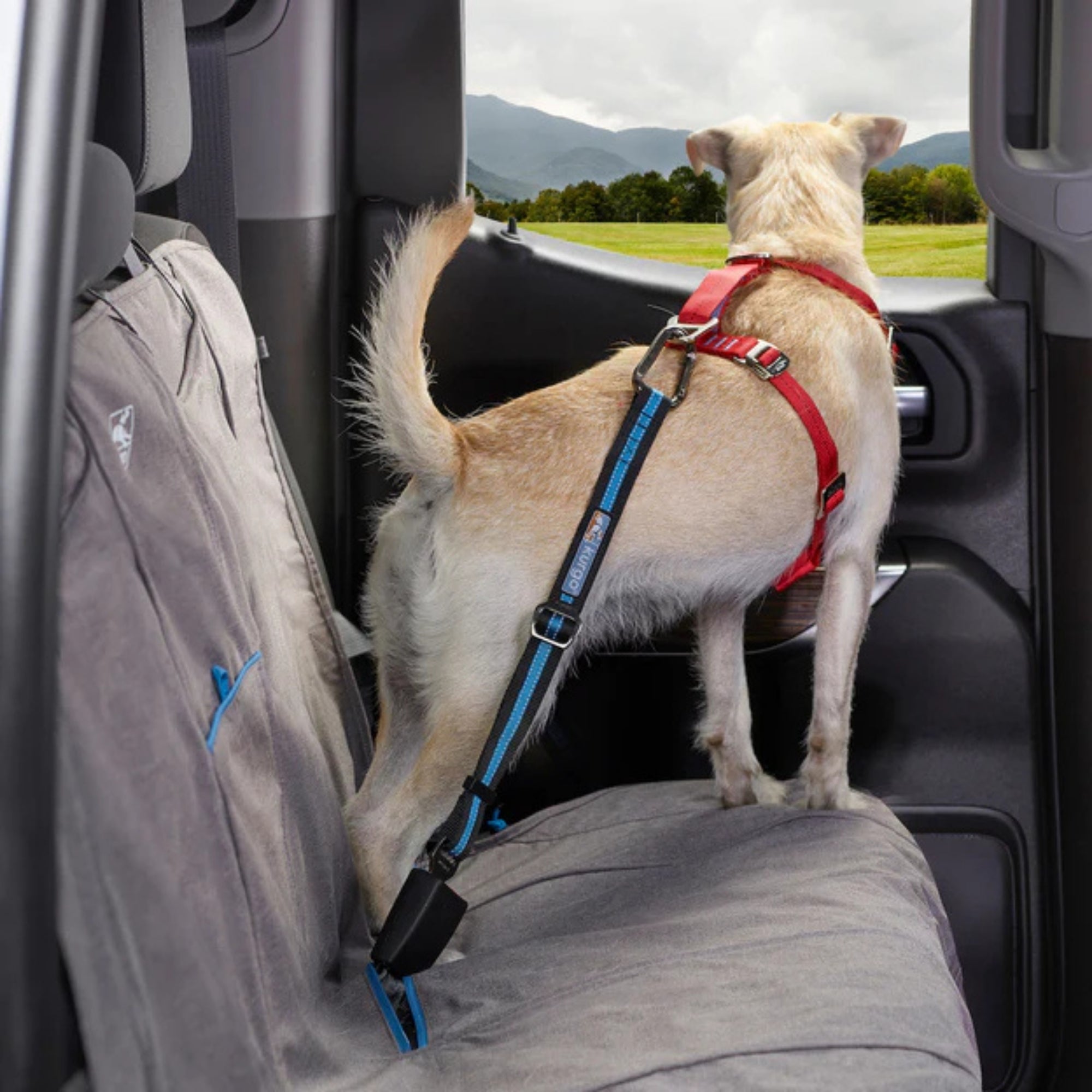 Kurgo Dog Seat Belt Tether Blue