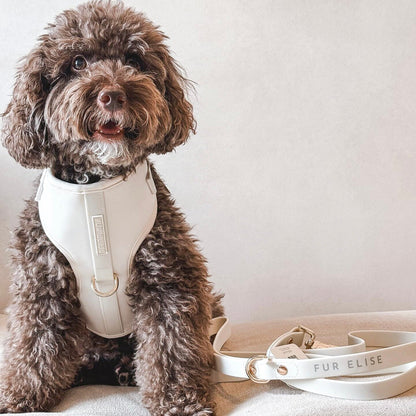 The Essentials Walk Set - Bone