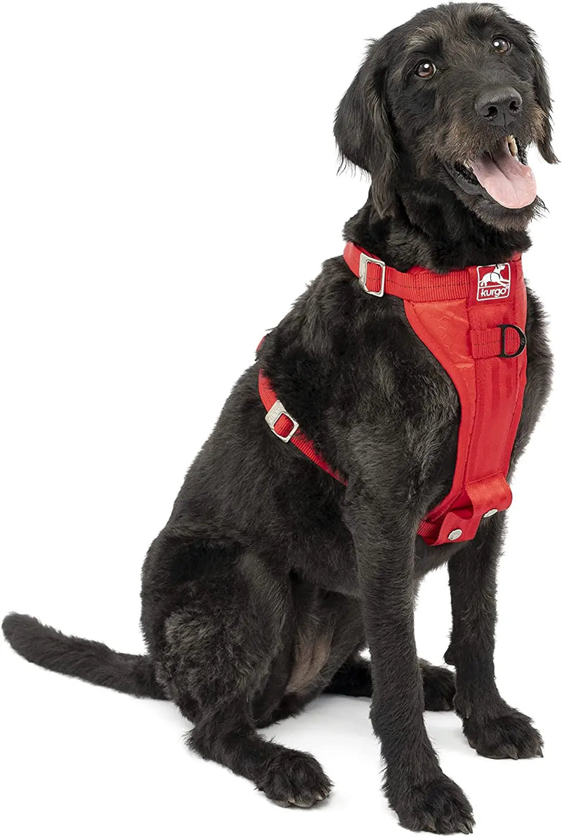 Enhanced Strength Tru-Fit Dog Car Harness - Crash Tested for Safety - Broad Chest Plate - All Steel Nested Buckles - Includes Seatbelt Tether - Red - Large