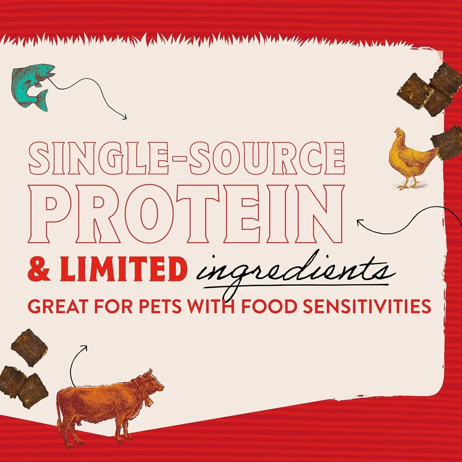 Premium Beef Jerky Dog Treats - 95% Real Meat Bites for Sensitive Stomachs - Natural Limited Ingredient Treats for Small and Large Dogs - No Grain, Wheat or Soy - 6 Oz Bag