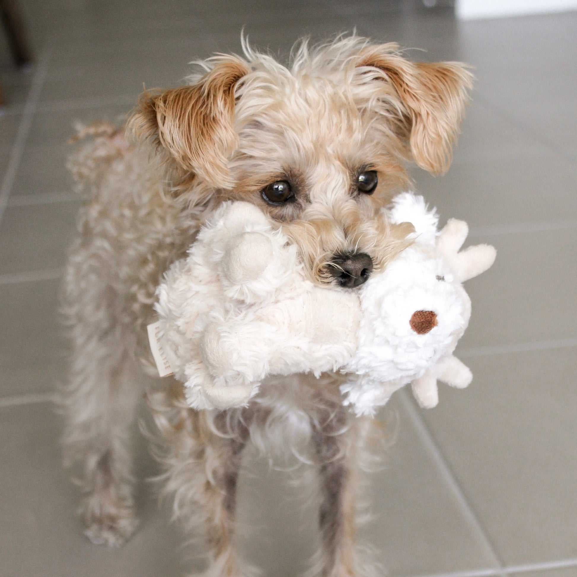 Vixi Mini Plushie Elise Galleria