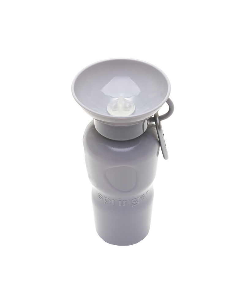 22oz Original Travel Dog Water Bottle
