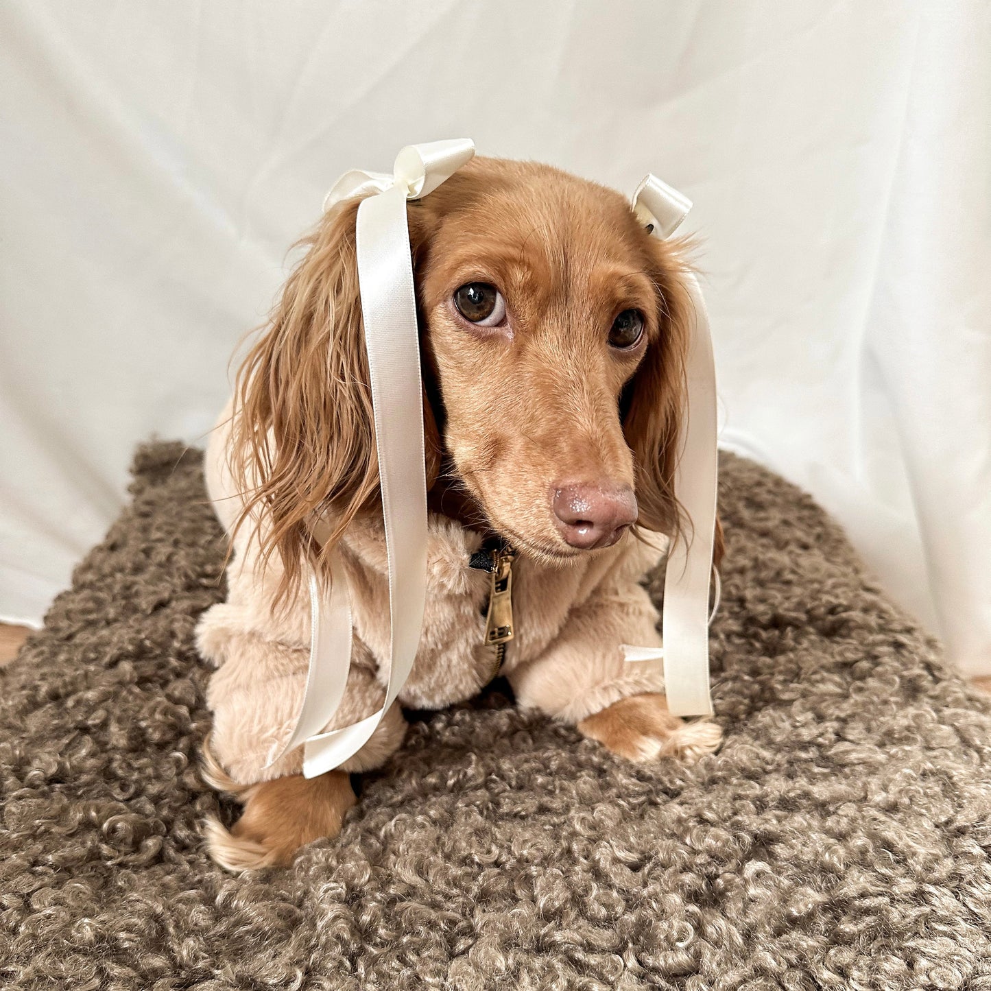 Furi Pet Coat - Sand Elise Galleria