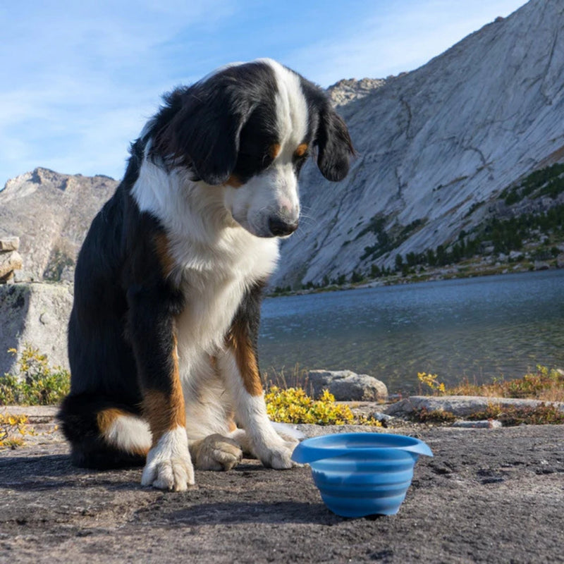 Kurgo Dog Collaps-A-Bowl Blue