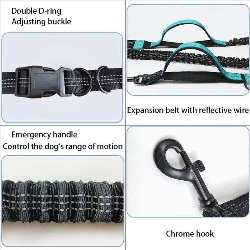 Dual Elastic Reflective Running Traction Rope Portable Retractable Dog Rope Dog Chain Traction Rope Pet Supplies