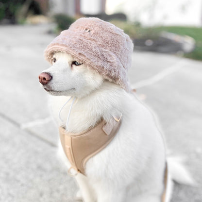 Furi Pet Hat - Sand Elise Galleria
