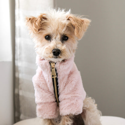 Furi Pet Coat - Rose Elise Galleria