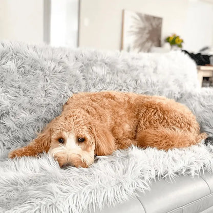 PupProtector™ Waterproof Throw Blanket - Grey Paw.com