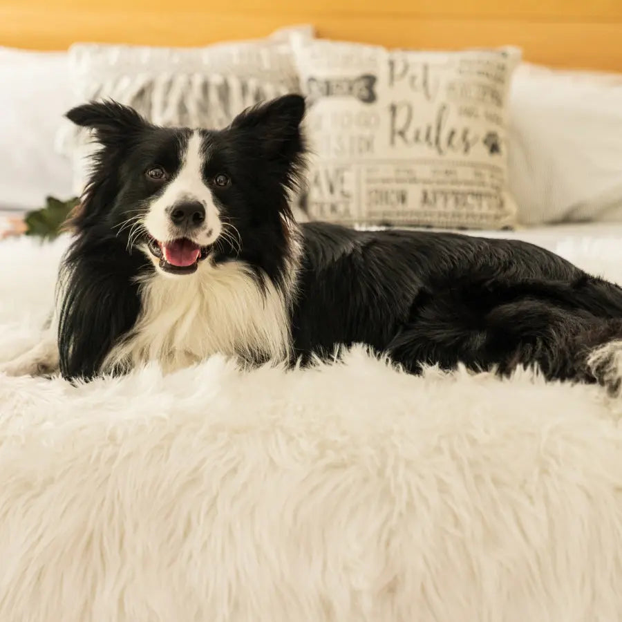 PupProtector™ Waterproof Throw Blanket - Polar White Paw.com
