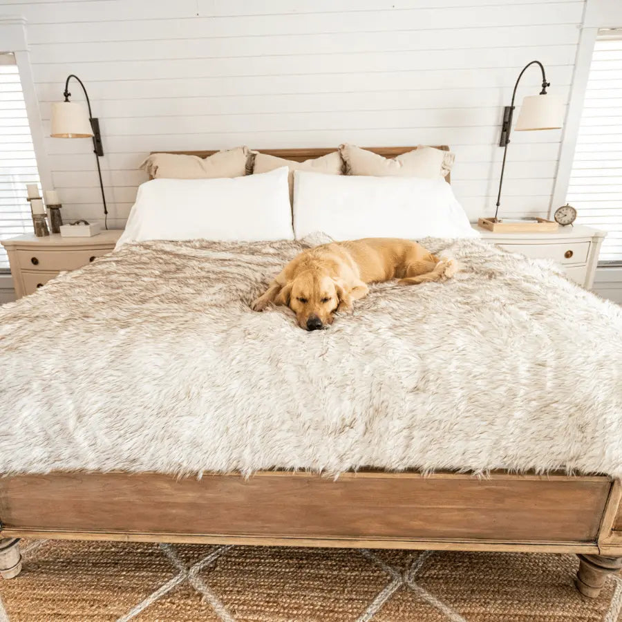 PupProtector™ Waterproof Throw Blanket - White with Brown Accents Paw.com