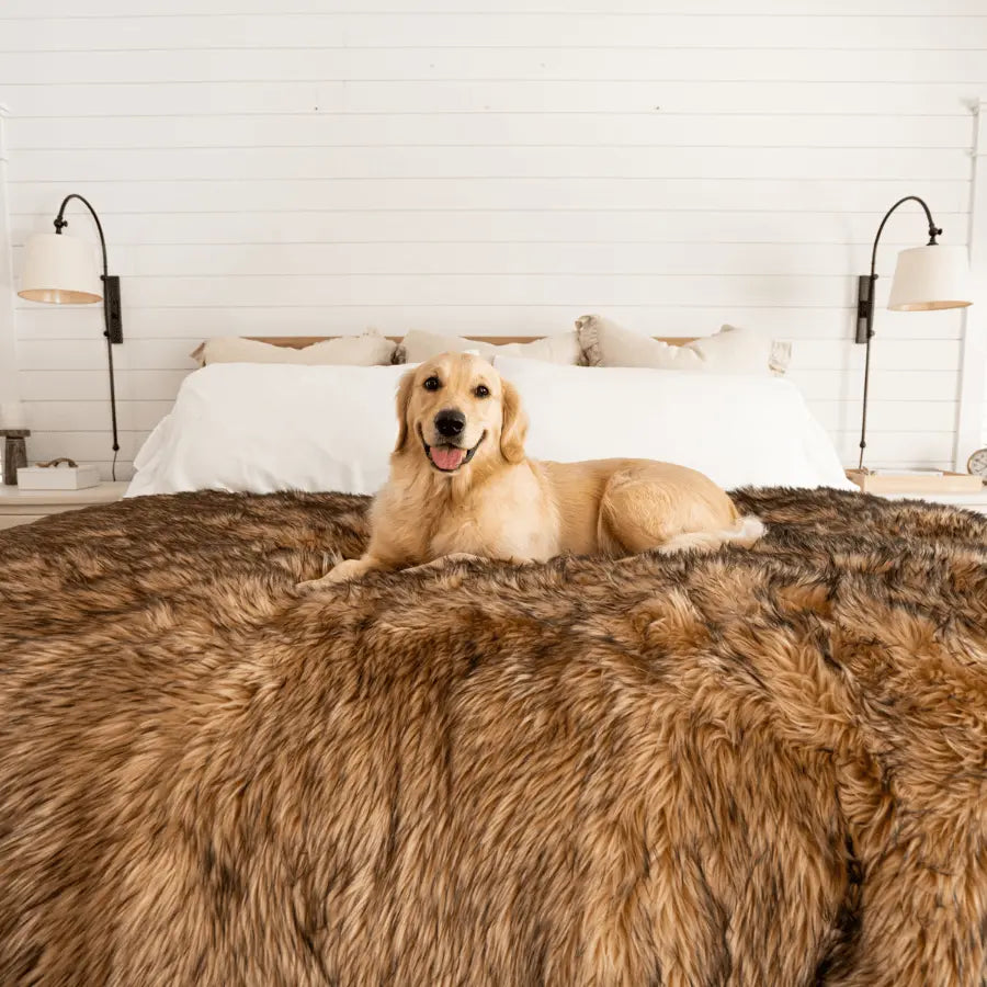 PupProtector™ Waterproof Throw Blanket - Sable Tan Paw.com