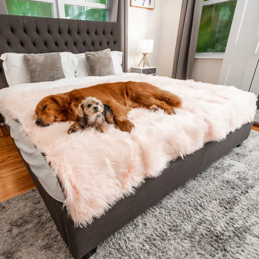 PupProtector™ Waterproof Throw Blanket - Blush Pink Paw.com