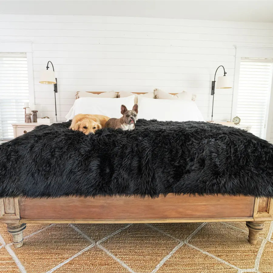 PupProtector™ Waterproof Throw Blanket - Midnight Black Paw.com