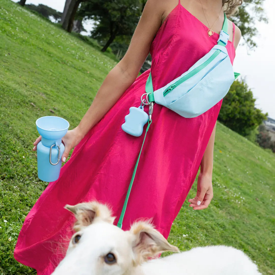 Hands-Free Dog Walking Bag with 4ft Leash Springland Pets
