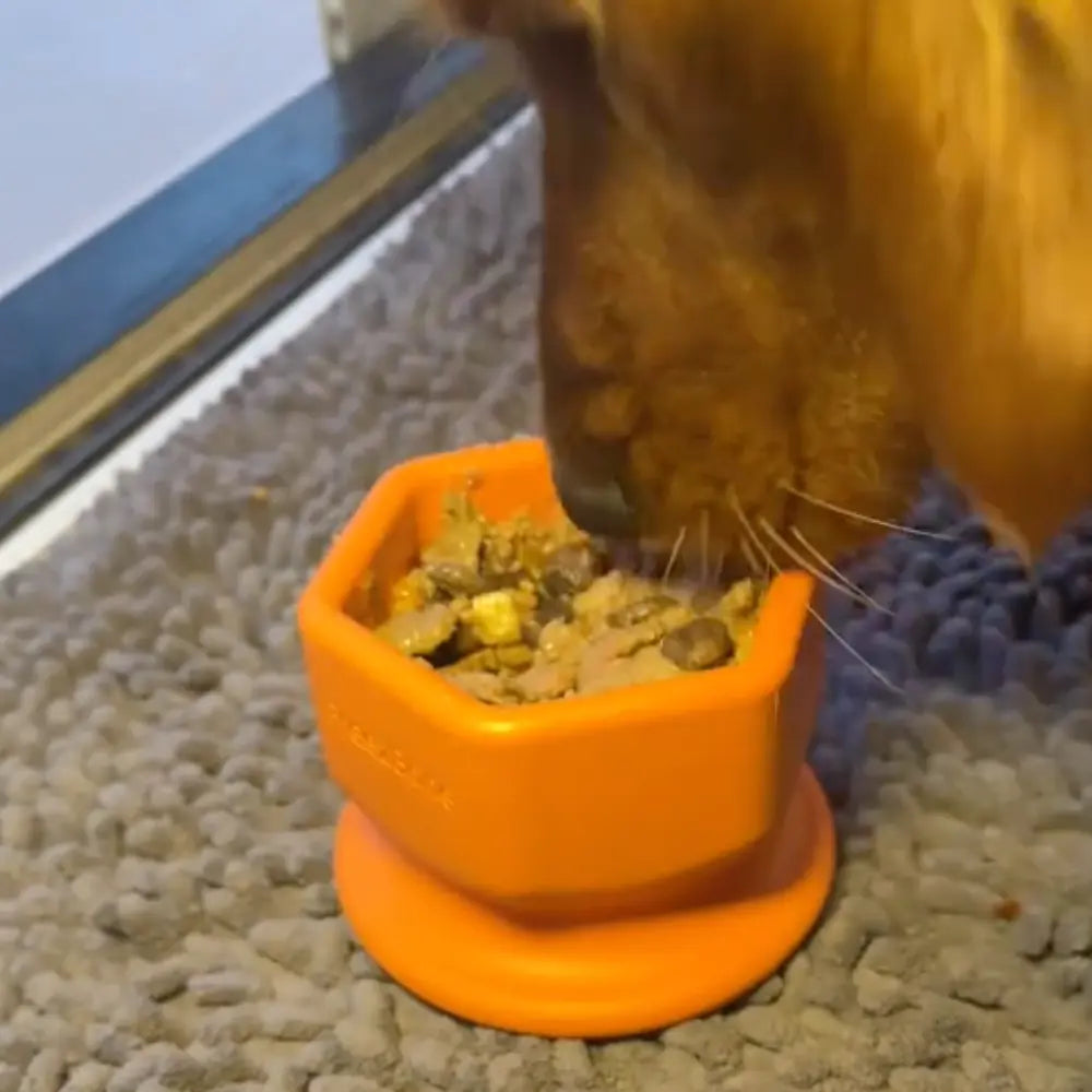 FreezCup - Long-Lasting Chew Fun Freezbone