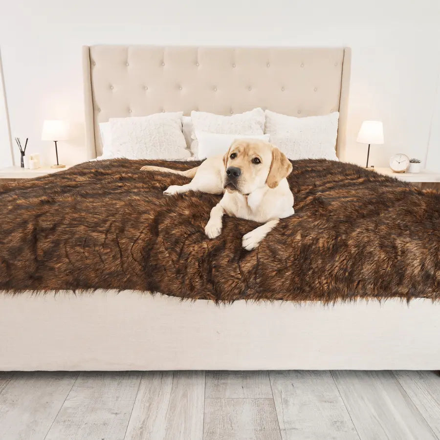 PupProtector™ Waterproof Throw Blanket - Brown Paw.com