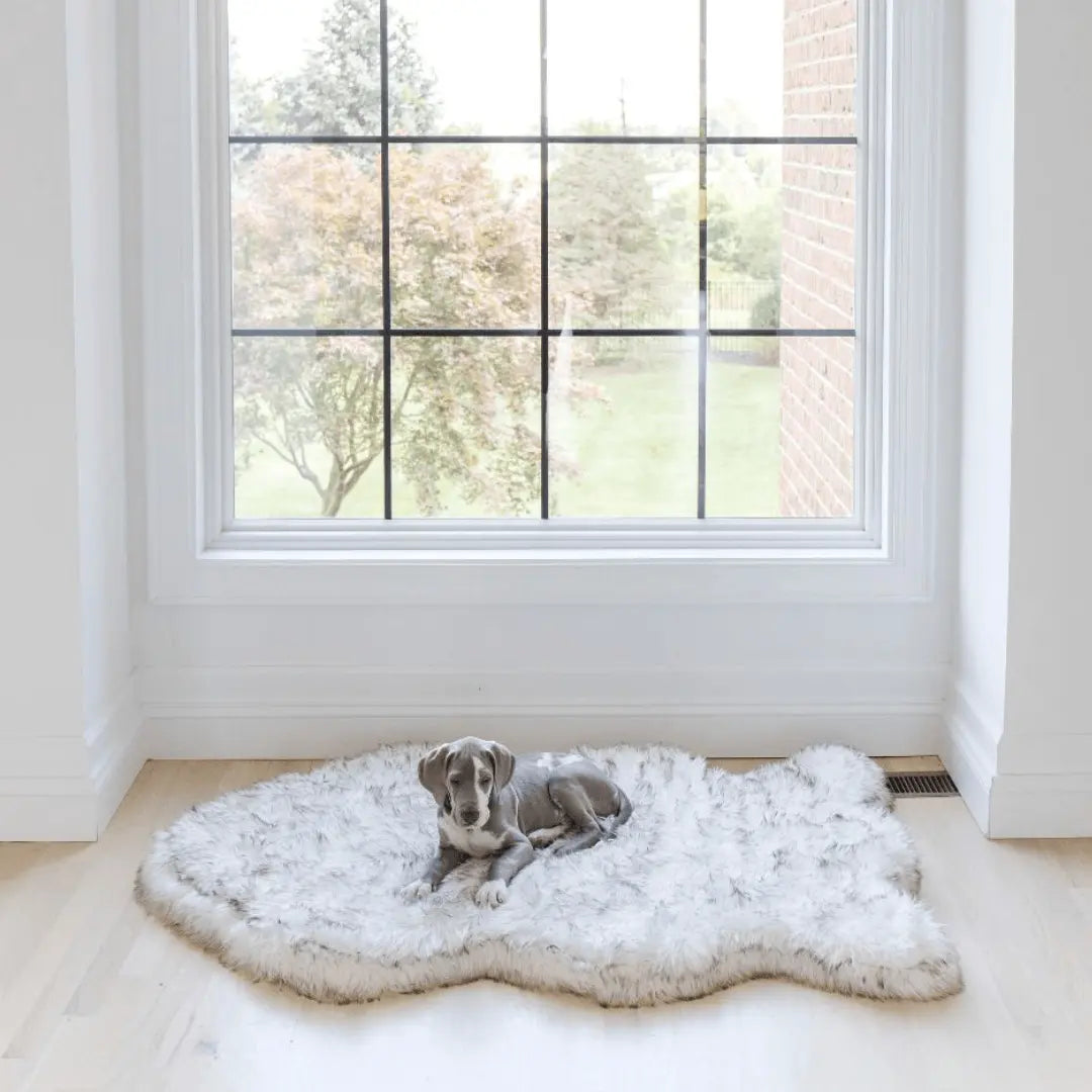 PupRug by Paw.com™ Faux Fur Orthopedic Dog Bed - Curve White with Brown Accents Paw.com