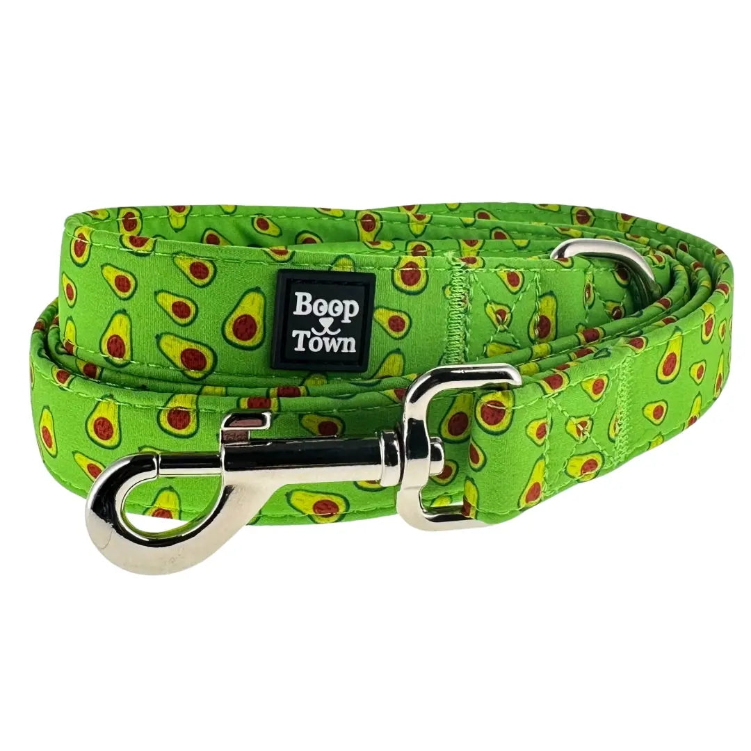 Dog Leashes