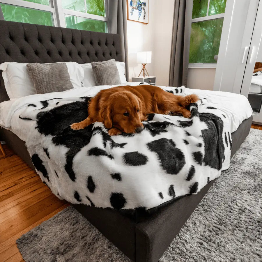 PupProtector™ Waterproof Throw Blanket - Black Faux Cowhide Paw.com