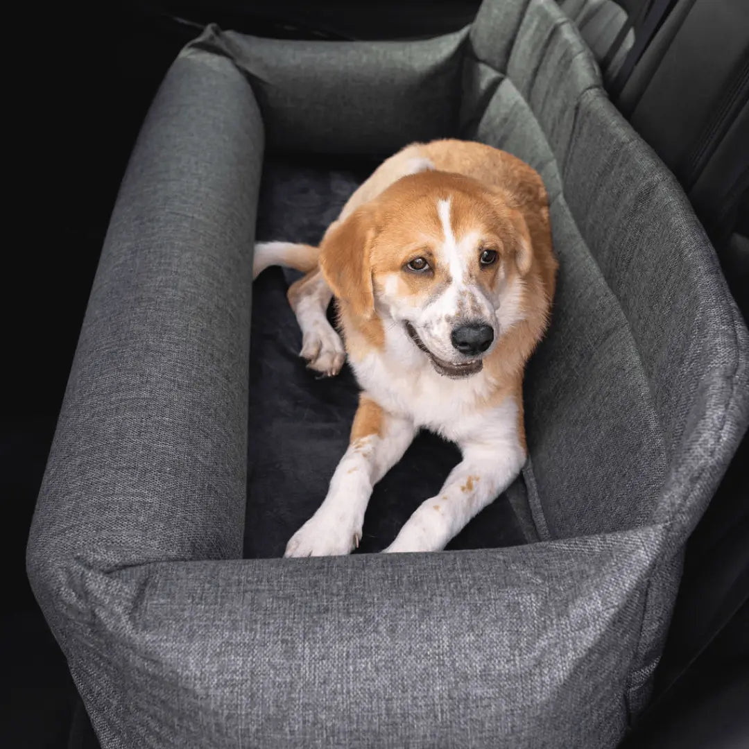 PupProtector™ Memory Foam Dog Car Bed Paw.com