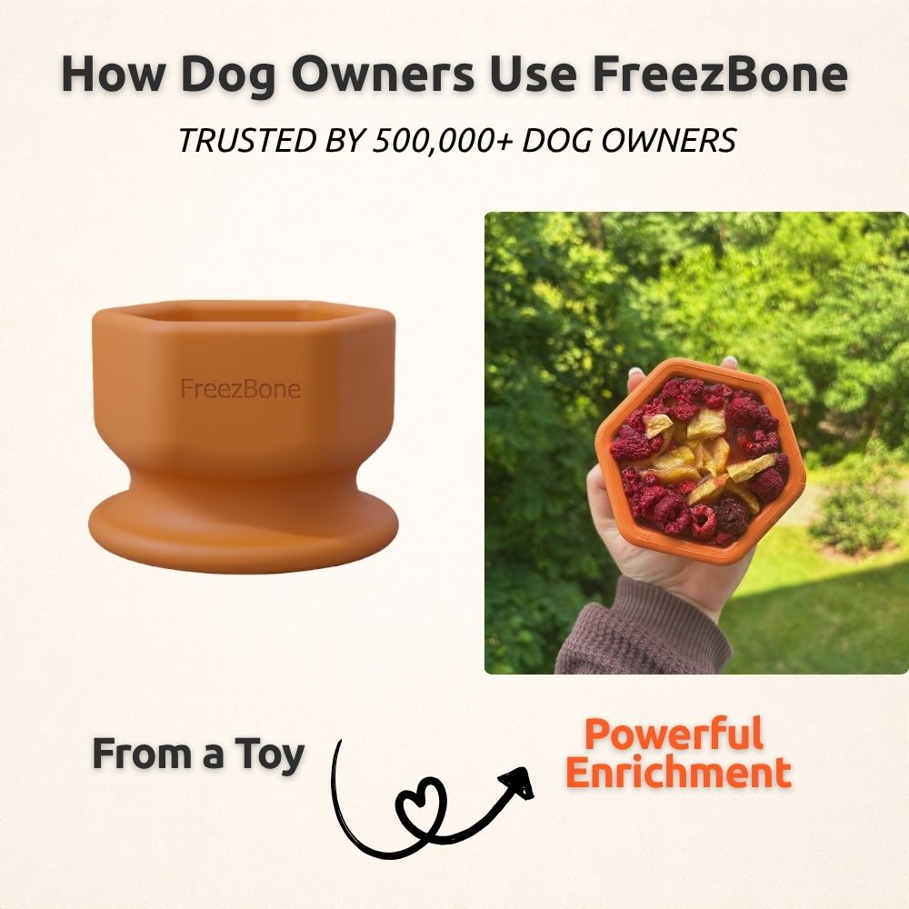 FreezCup - Long-Lasting Chew Fun