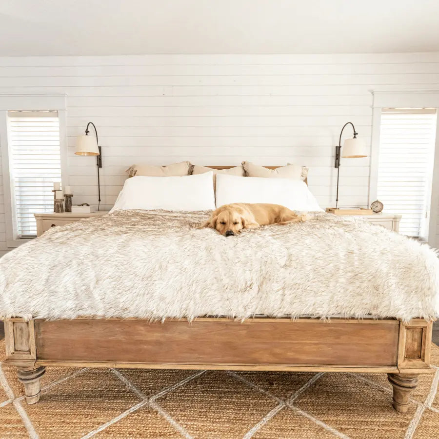 PupProtector™ Waterproof Throw Blanket - White with Brown Accents