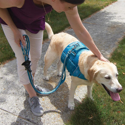 Rsg Stub Leash for Dogs | Adjustable Dog Leash | Hands Free Dog Leash for Walking, Jogging, or Running | Customizable Molle-Compatible Pet Lead | Training Handle | Web Keeper | Reflective | 48”