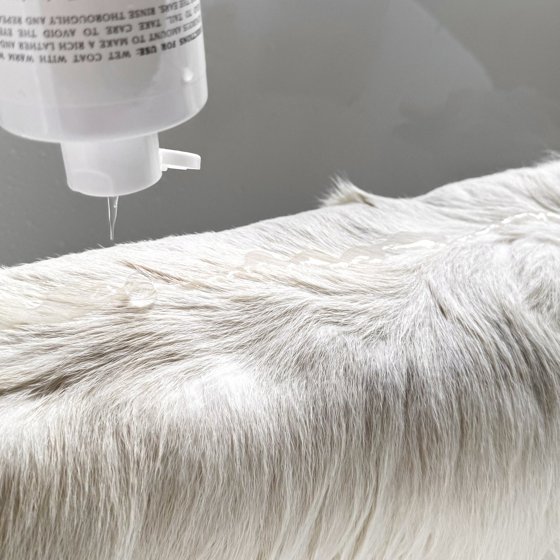 Le Pet Wash Elise Galleria