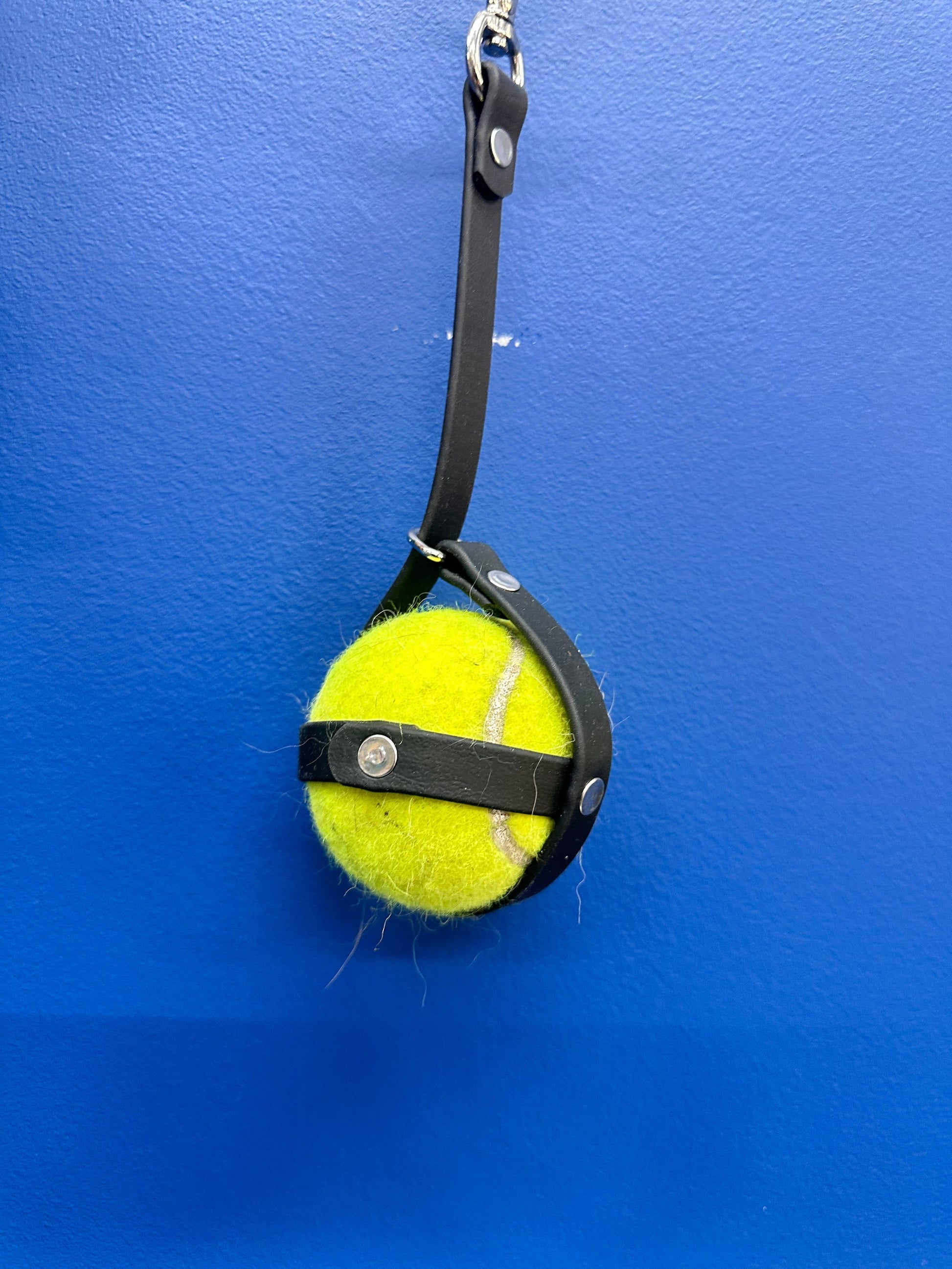 Ball Sack Ulti-Mutt Toys
