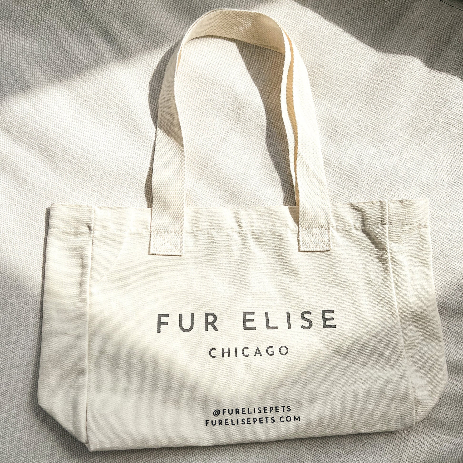 Logo Canvas Tote Bag Elise Galleria