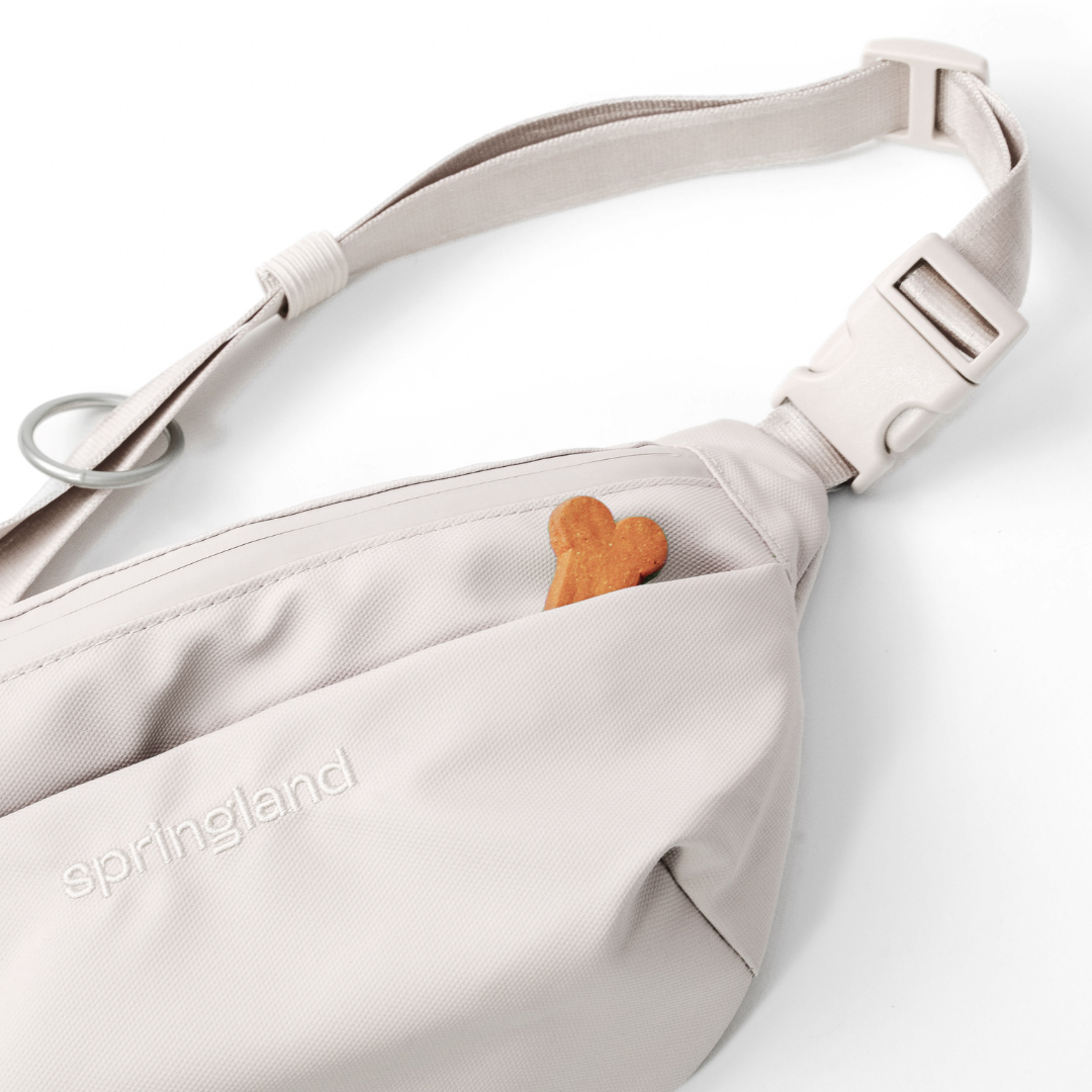 Hands-Free Dog Walking Bag with 4ft Leash