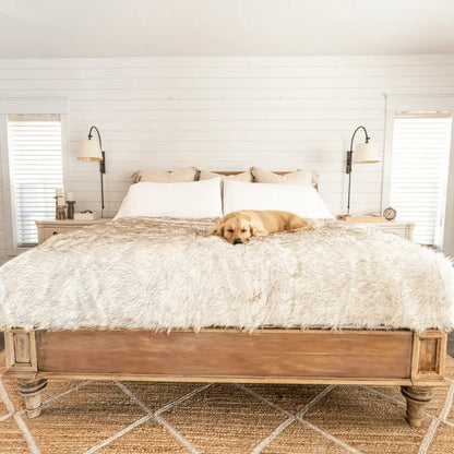 PupProtector™ Waterproof Throw Blanket - White with Brown Accents Paw.com