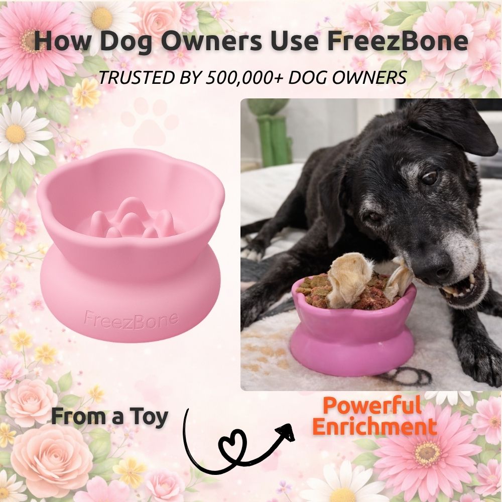 Flower Bundle - Beautiful spring-inspired bones that actually calm your dog