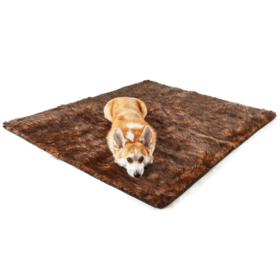 PupProtector™ Waterproof Throw Blanket - Brown Paw.com