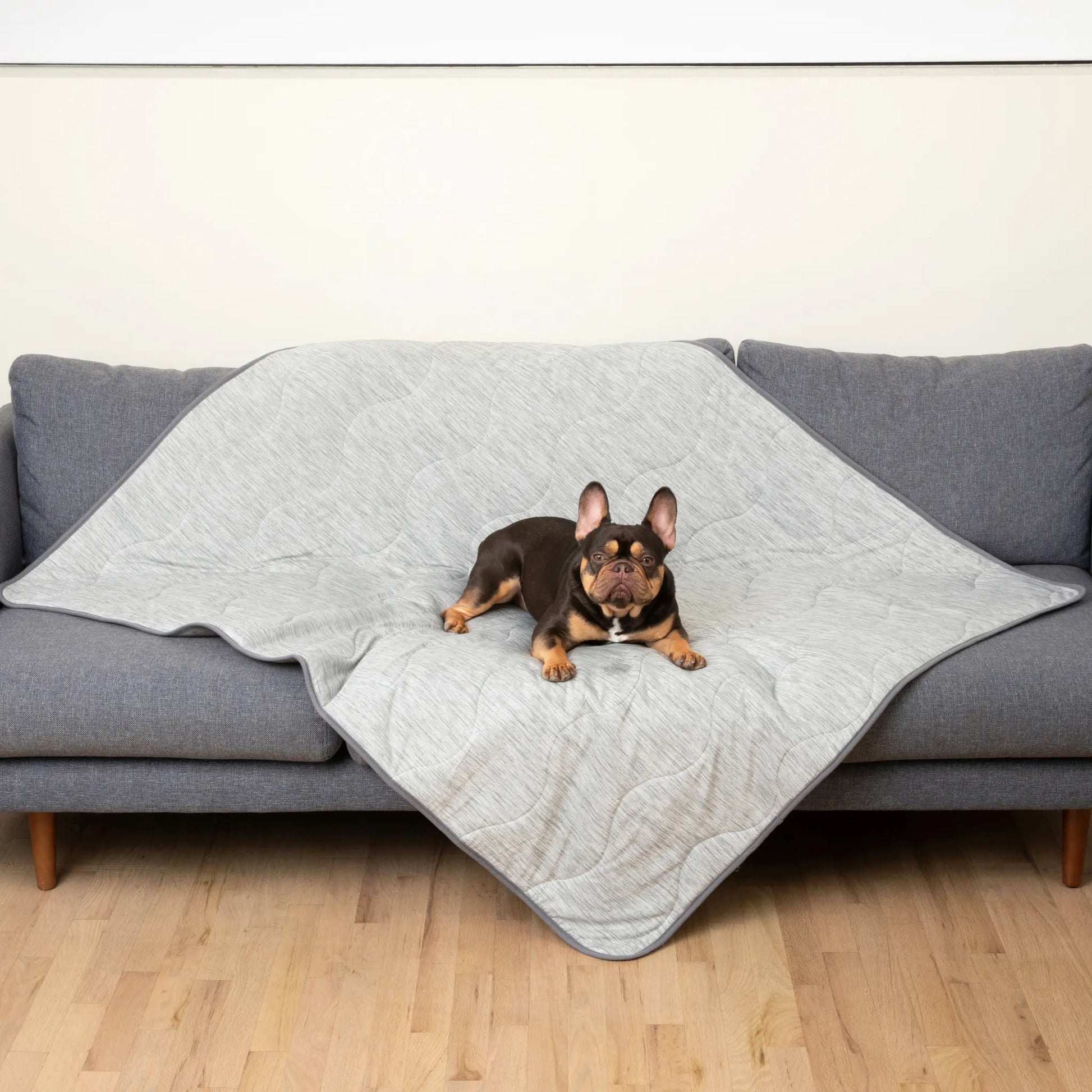PupChill™ Cooling Waterproof Blanket - Arctic Grey Paw.com