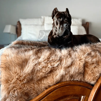 PupProtector™ Waterproof Throw Blanket - Sable Tan Paw.com