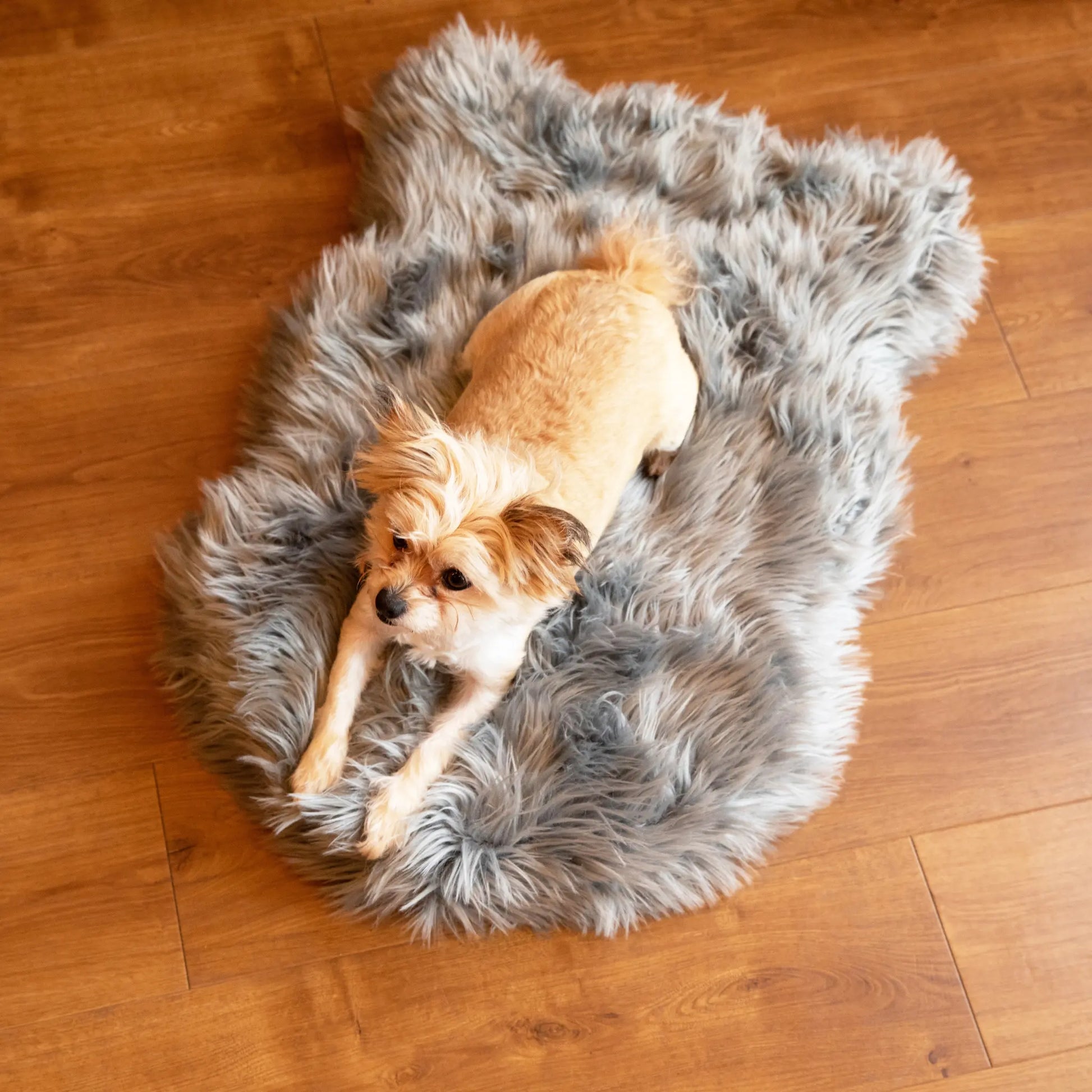 PupRug by Paw.com™ Faux Fur Orthopedic Dog Bed - Curve Charcoal Grey Paw.com