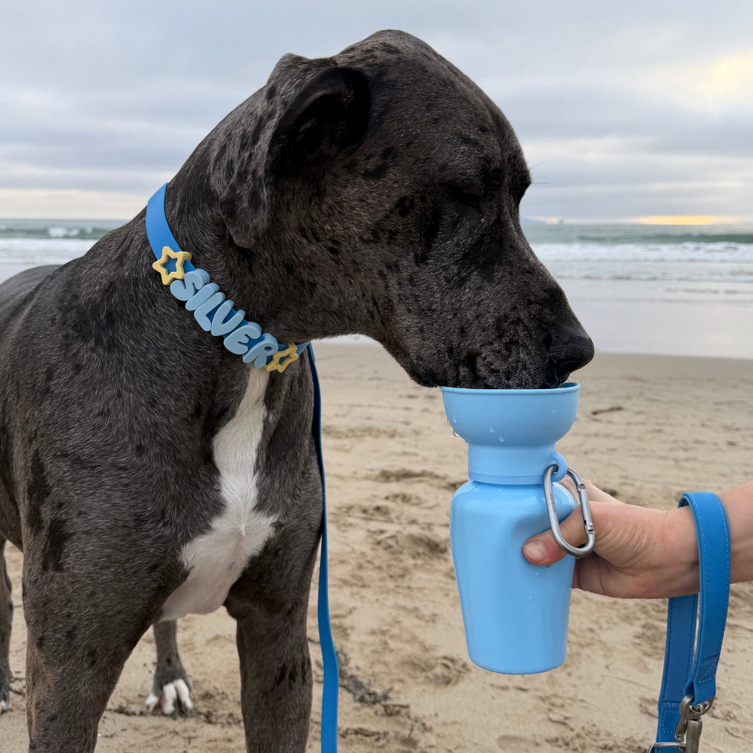 Waterproof Dog Collar