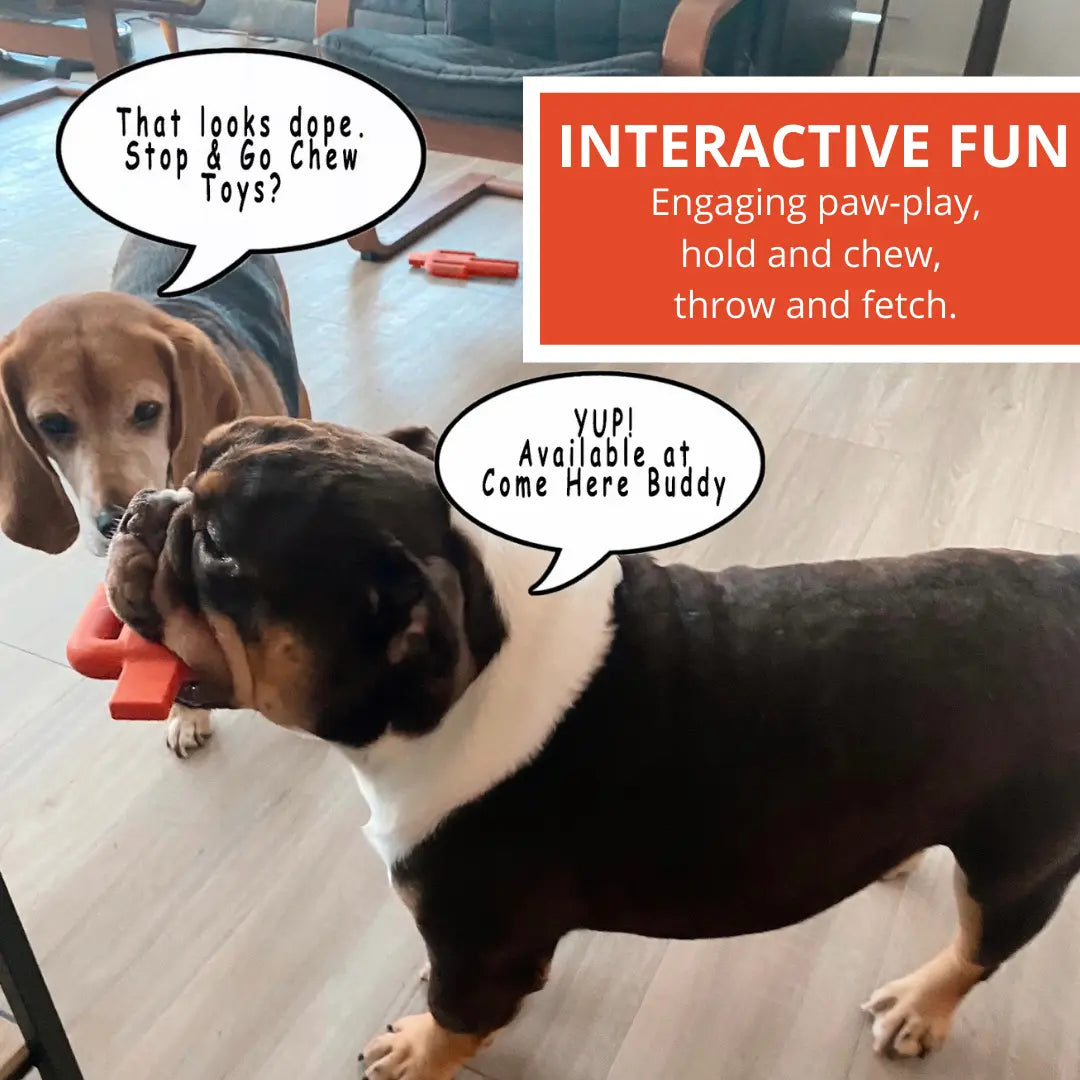 Dog Chew Toy - K9 Outdoors