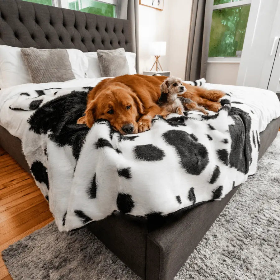 PupProtector™ Waterproof Throw Blanket - Black Faux Cowhide Paw.com