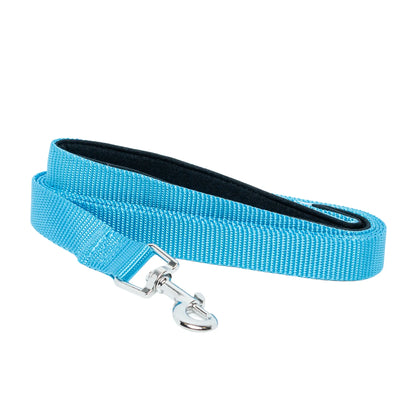 Padded Grip Dog Leash – Durable Nylon, Comfortable, and Secure – 5ft. American Pet Supplies