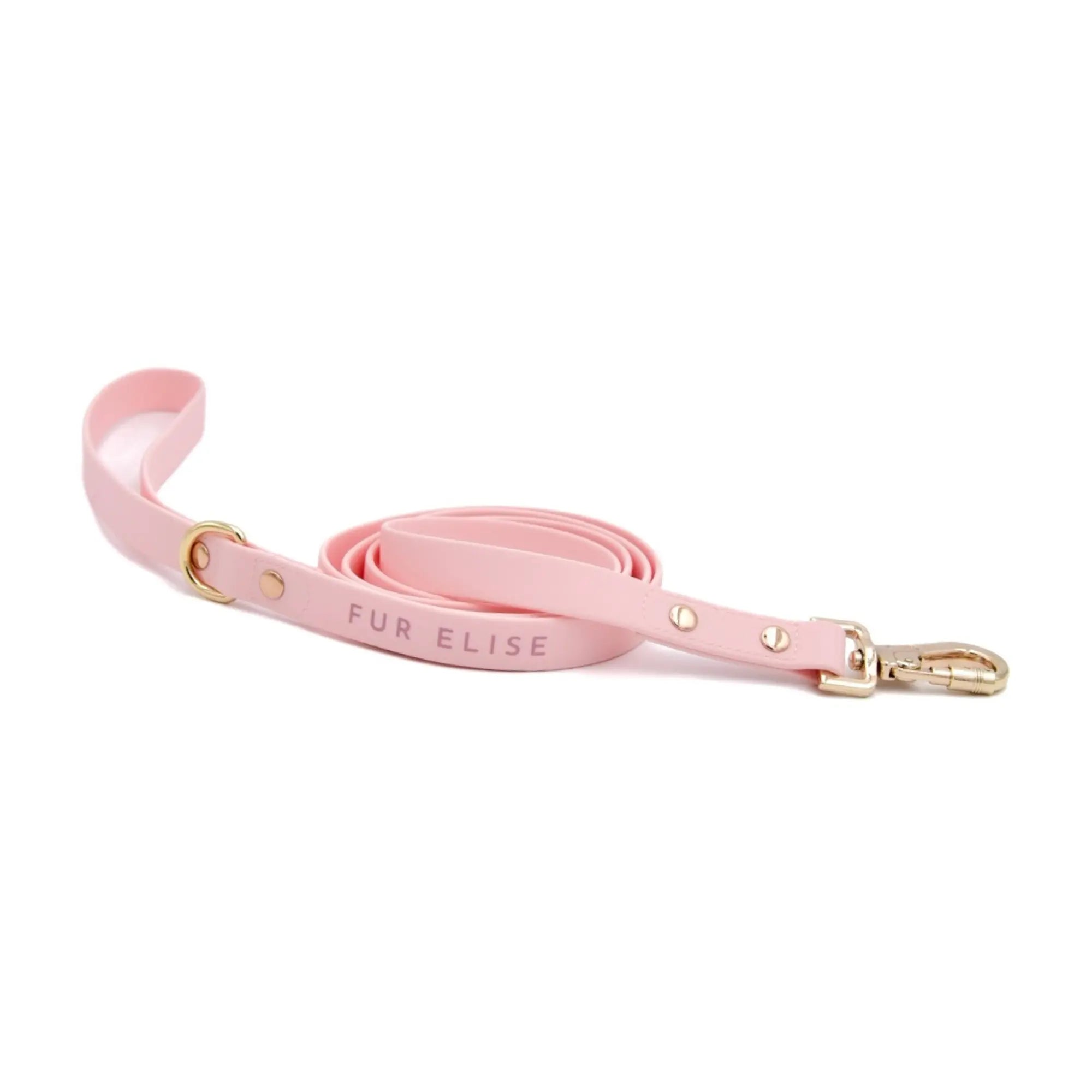 The Ultimate Walk Set - Rose - K9 Outdoors