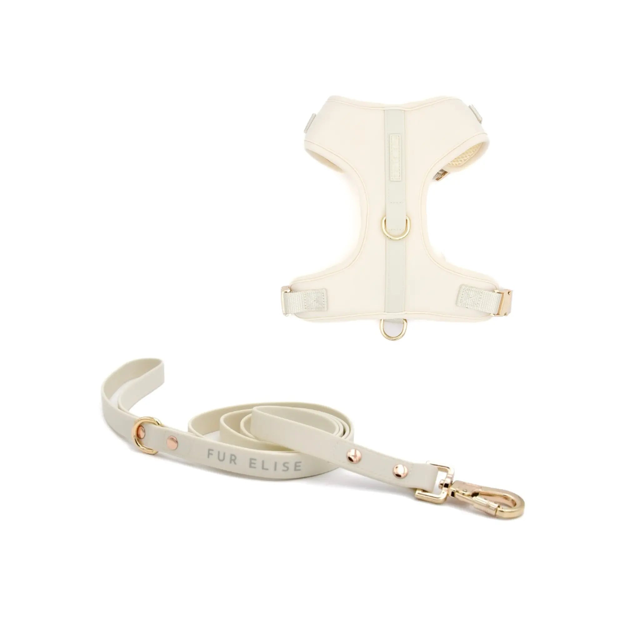 Elise Harness & Leash Set - Bone - K9 Outdoors