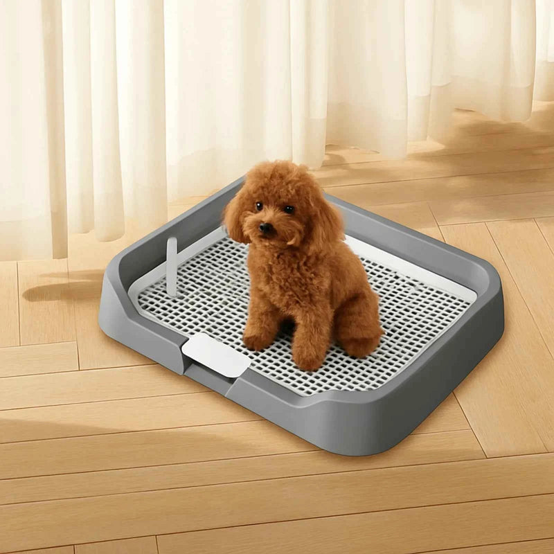 Pee Pad Holder Potty Pads Reusable Mesh Open Top Training Toilet Potty Tray Comfortable Toilet with Protection for Large Puppy