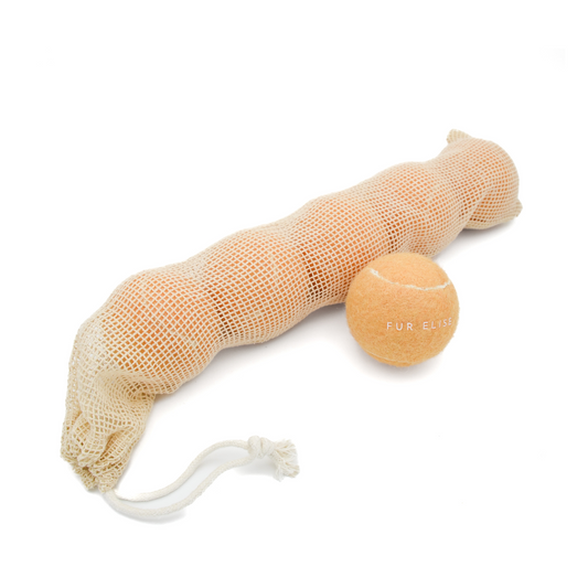 Classic Tennis Ball Set of 5 - Sand Elise Galleria