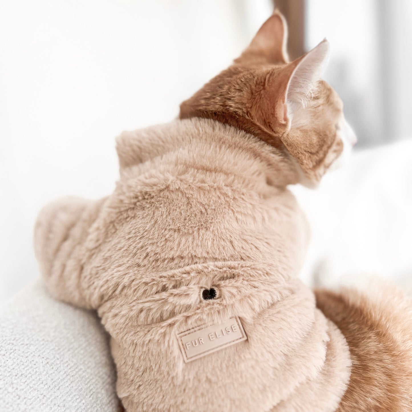 Furi Pet Coat - Sand Elise Galleria