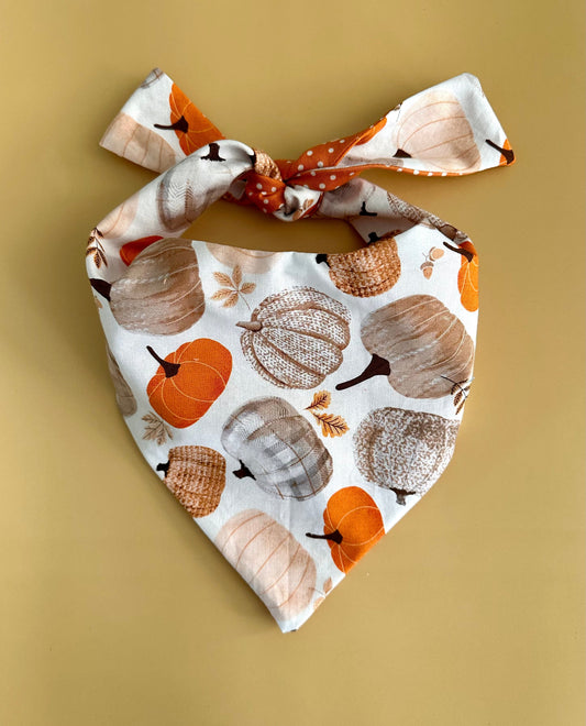 Pumpkin Dog Bandana Happy Tails Outfitters