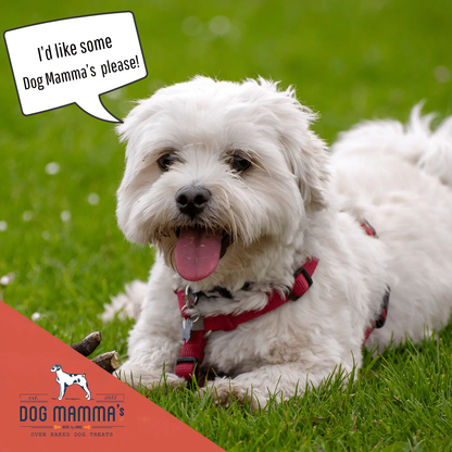 Dog Mamma's Organic Apple Cranberry Recipe - USDA Organic Certified Dog Treats Dog Mamma's Organic Dog Treats